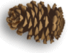 Captcha image 3088