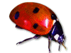 Captcha image 2066