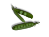 Captcha image 4025