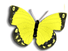 Captcha image 7711