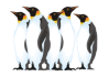 Captcha image 9569